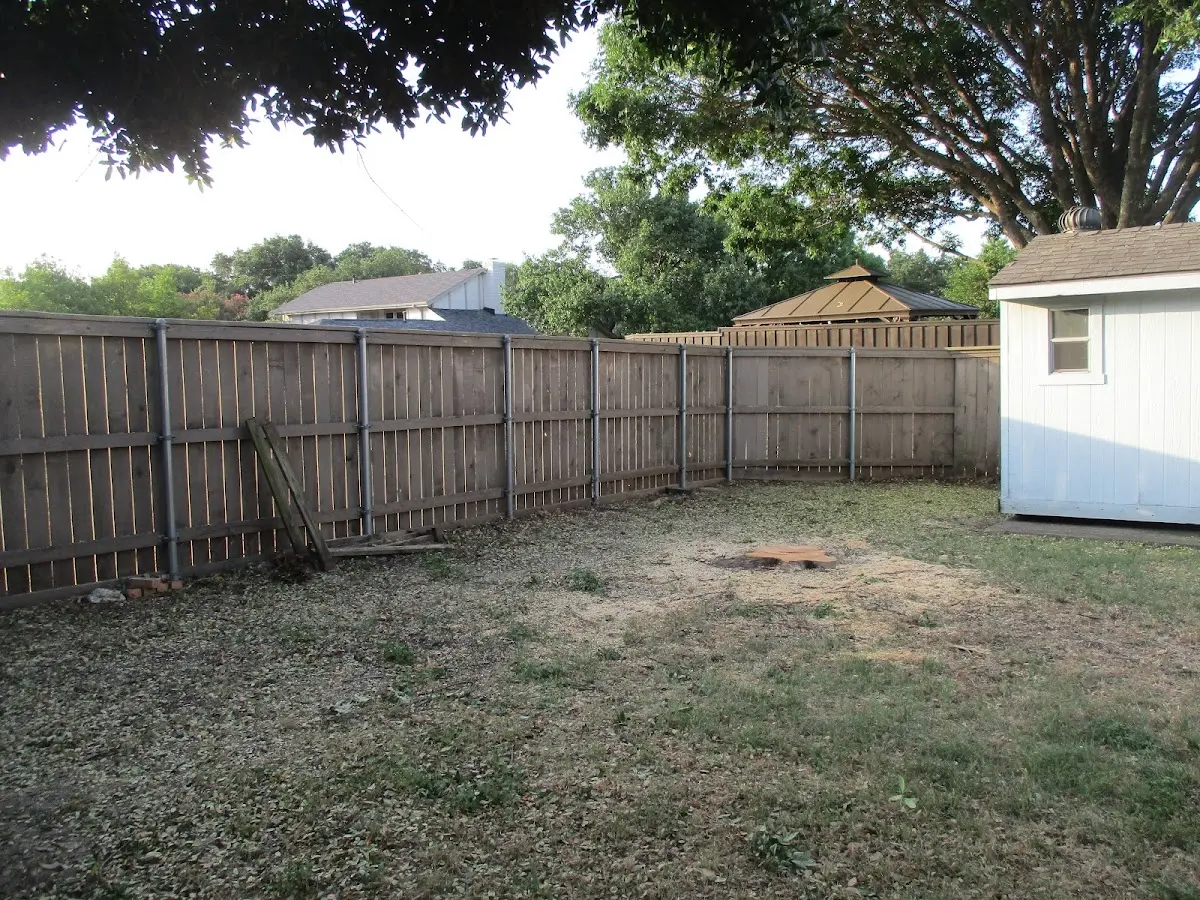 Cleared yard after professional tree removal in New Brockton